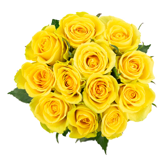 Colour Republic Roses, 12 Stems, Yellow