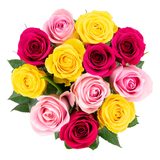 Colour Republic Roses, 12 Stems, Rainbow