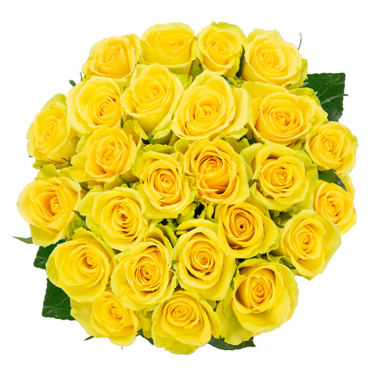 Colour Republic Roses, 25 Stems, Yellow