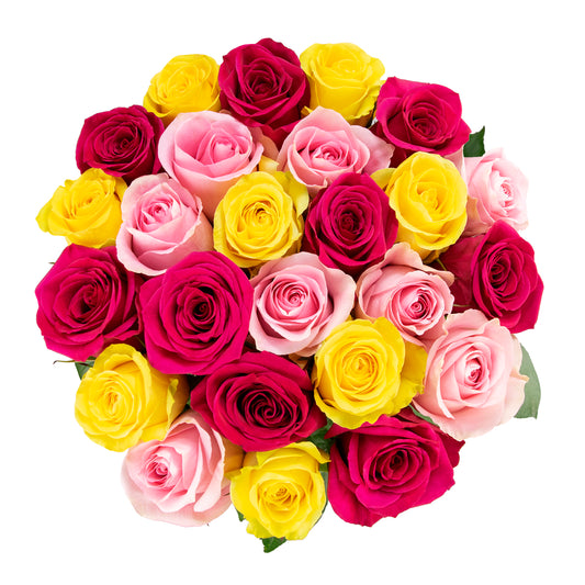 Colour Republic Roses, 25 Stems, Rainbow